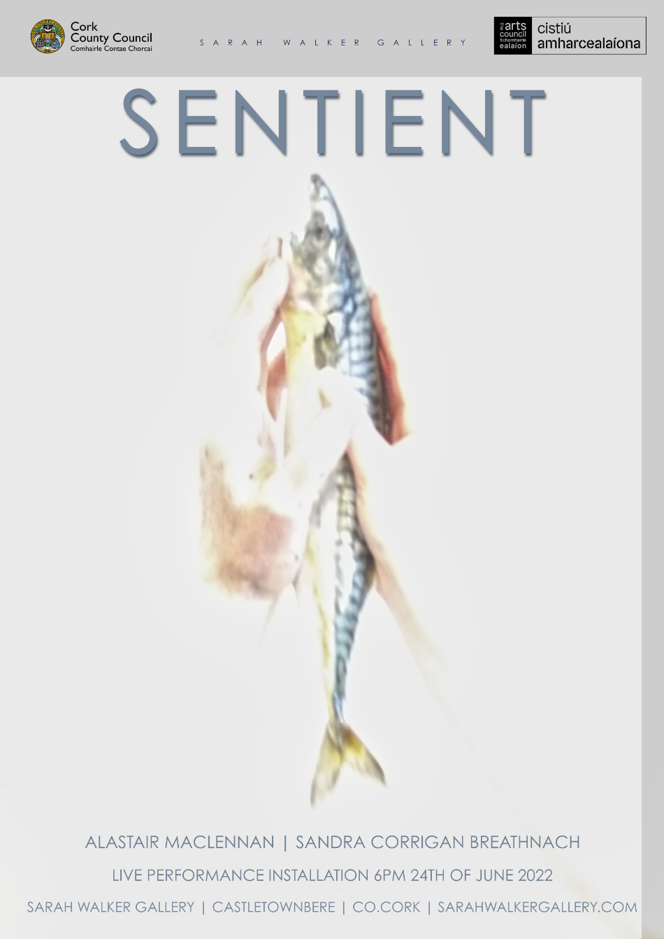 Alastair MacLennan - Sandra Corrigan Breathnach - Sentient
