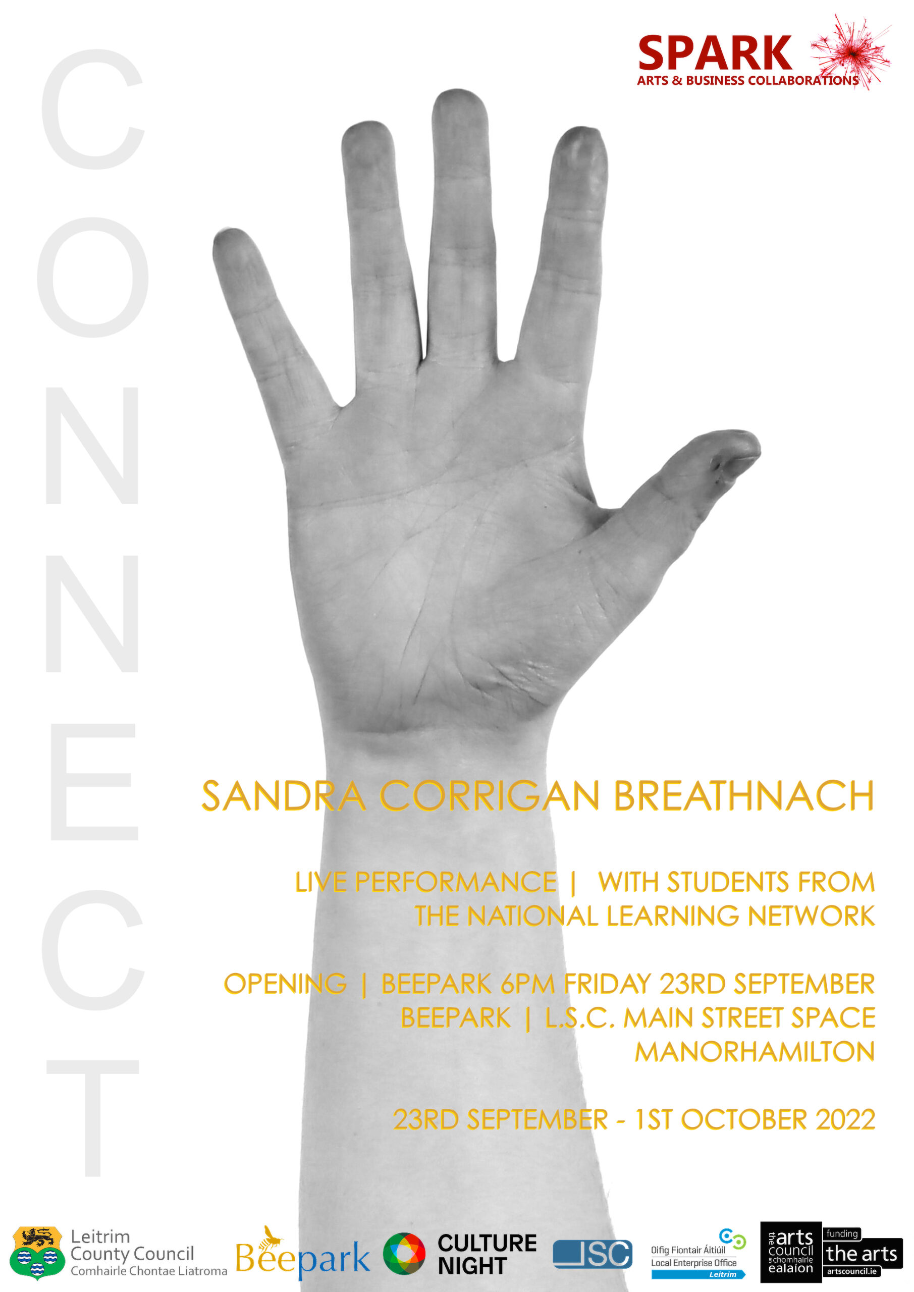 Connect Poster Sandra Corrigan Breathnach Sandra Corrigan Breathnach, Connect